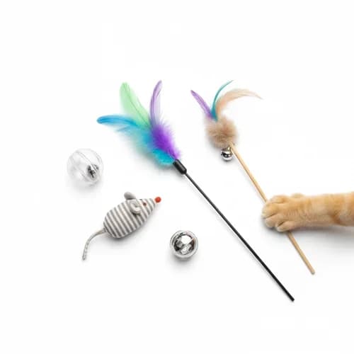 Cat Toys