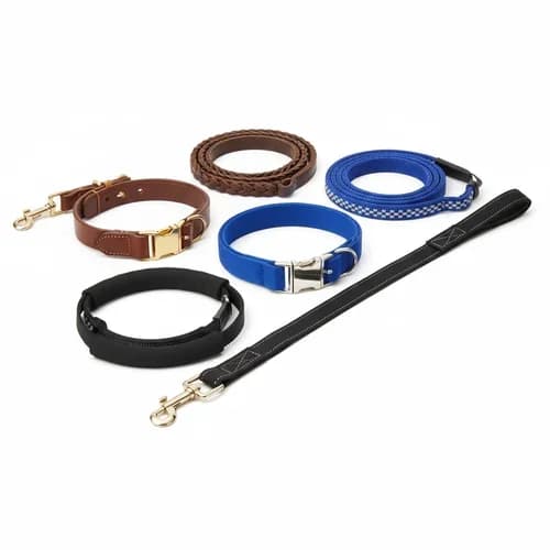Collars & Leashes