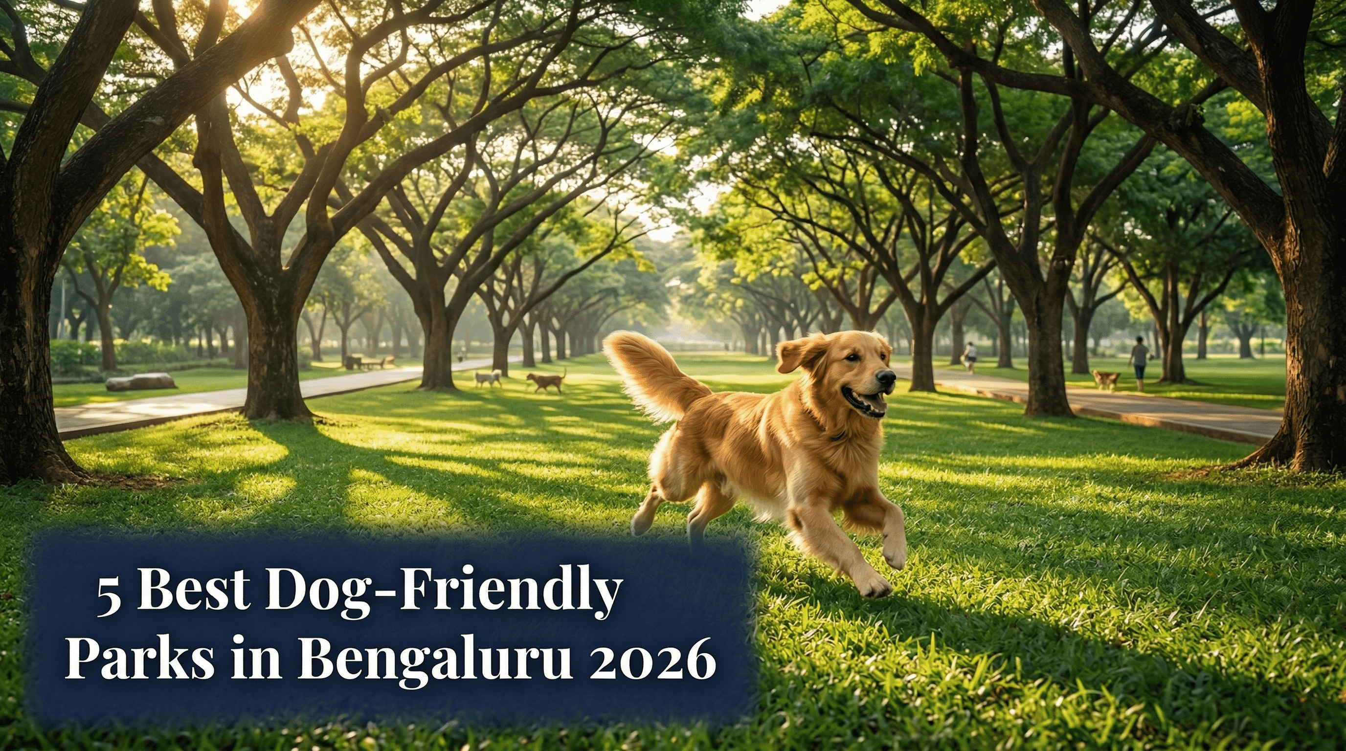 5 Best Dog-Friendly Parks in Bengaluru 2026 | wagNbush
