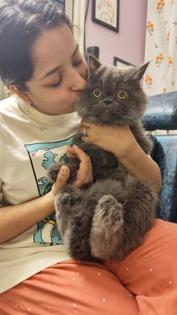 Pooja's Cozy Cattery