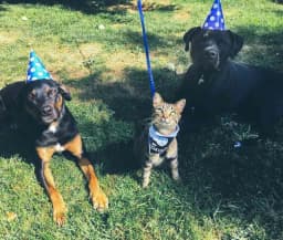 Sk Pet Care