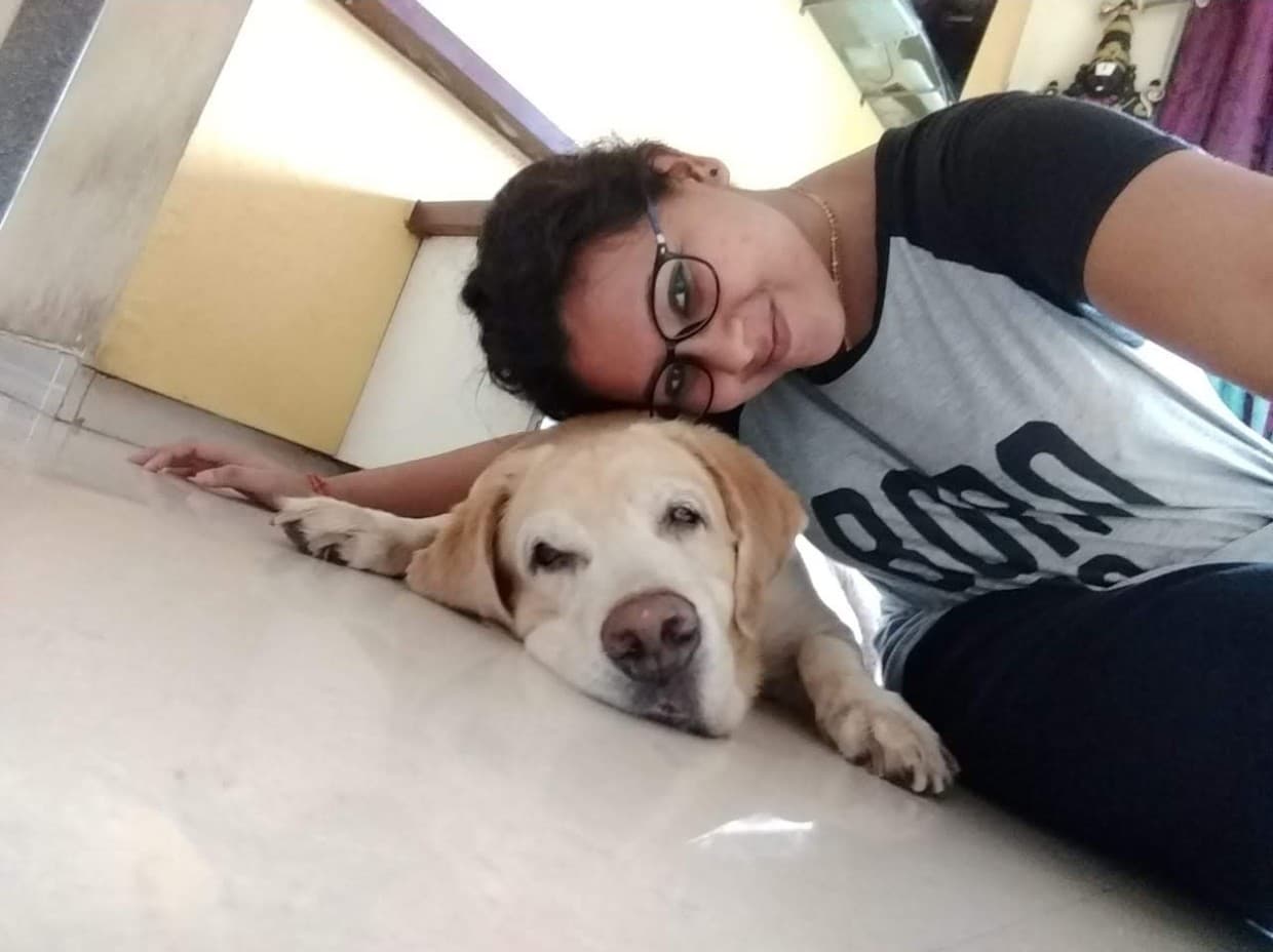 pet_boarder photo 5 at Kaju's Pawsome Nest, Bengaluru