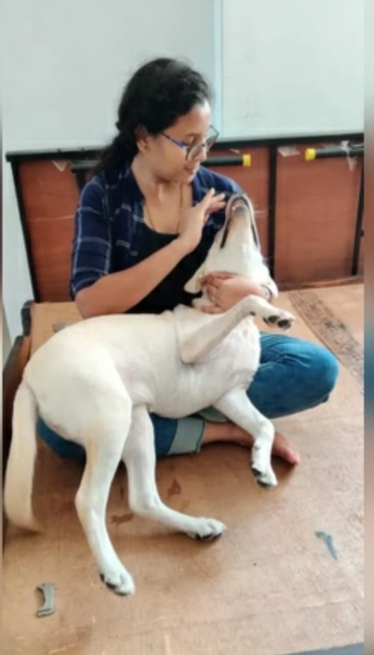 pet_boarder photo 4 at Kaju's Pawsome Nest, Bengaluru