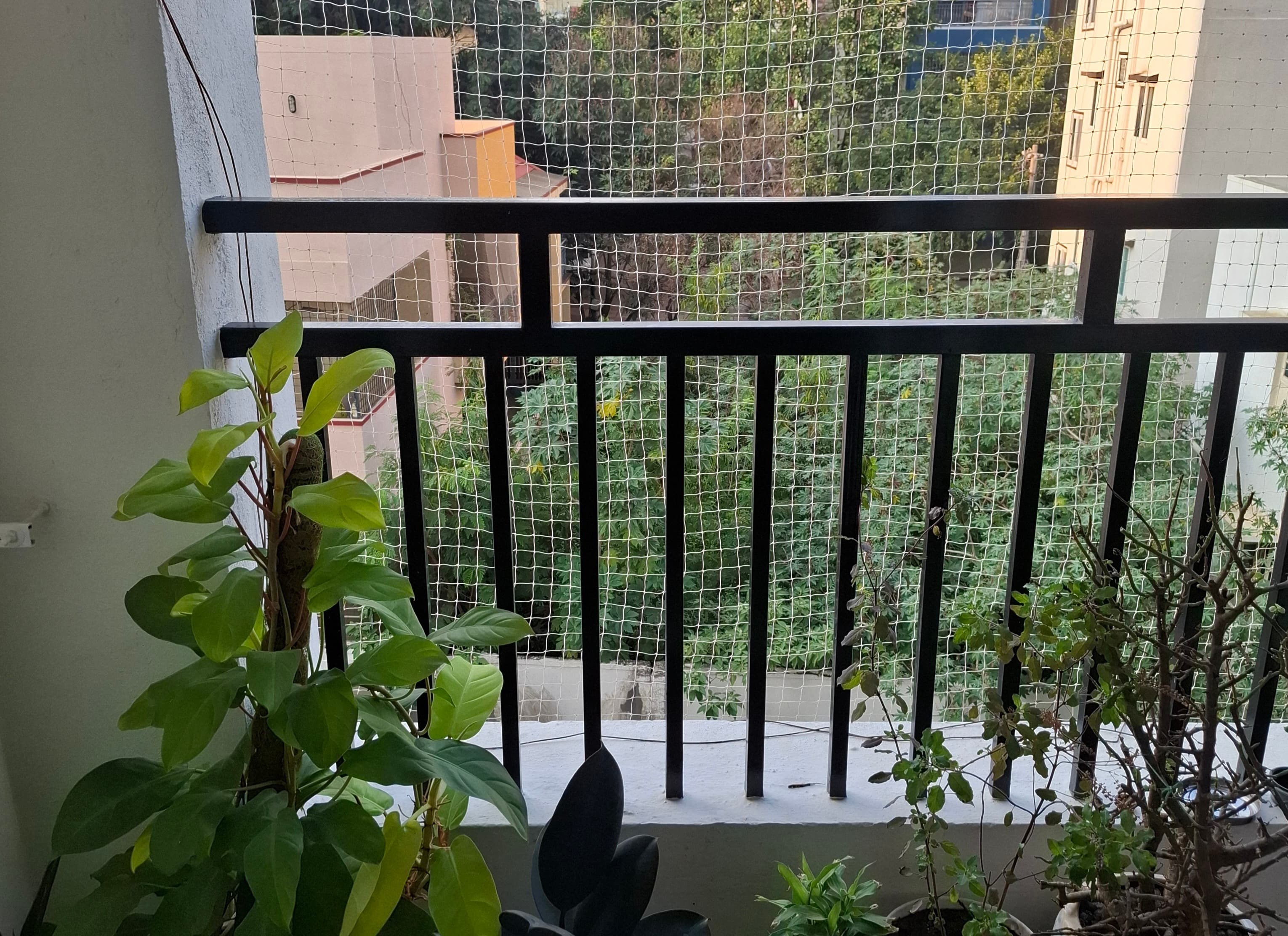 Naina Mulchandani - Verified pet service provider in Bengaluru