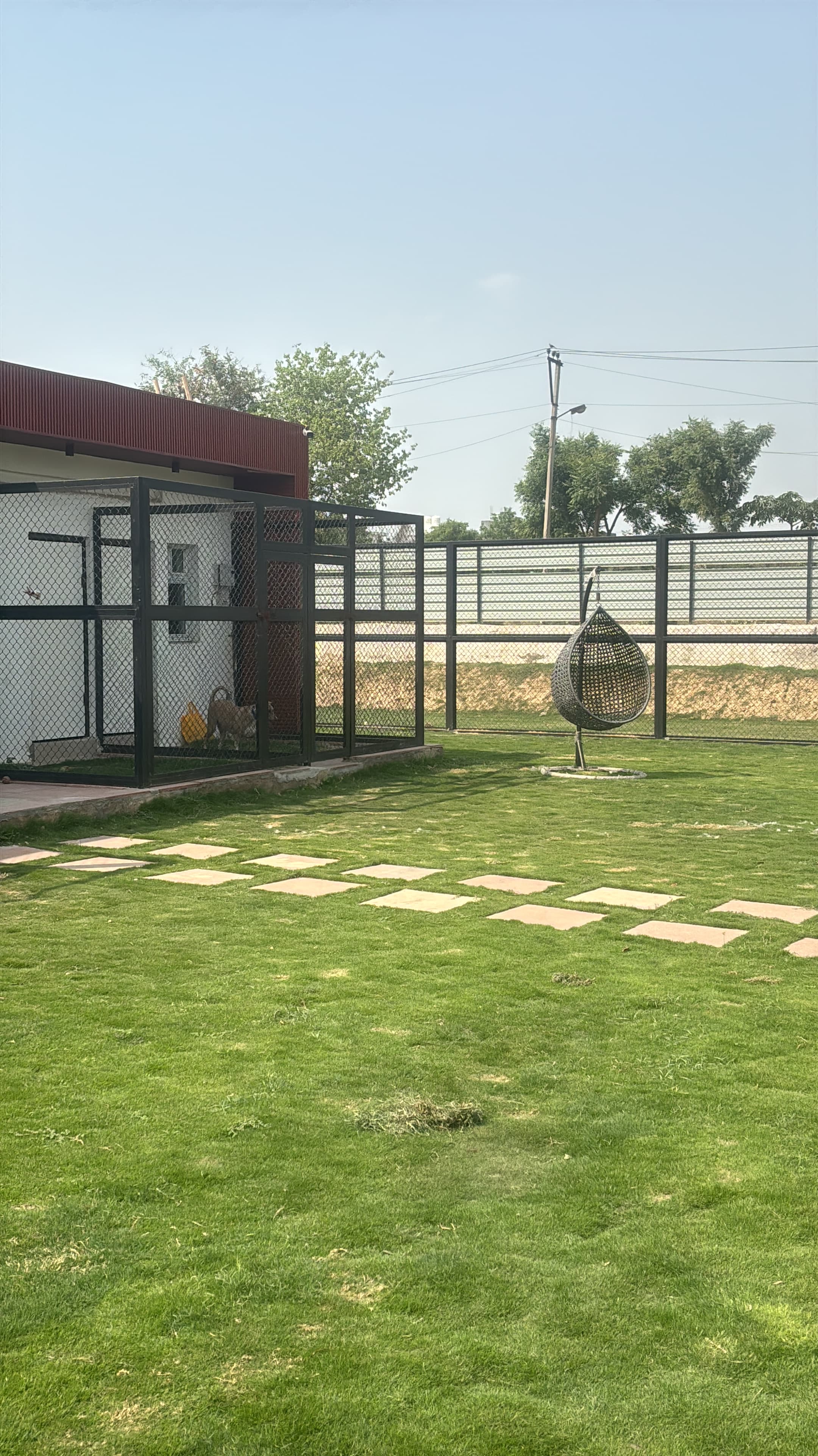 pet_boarder at Tails Of Two Cities, Noida