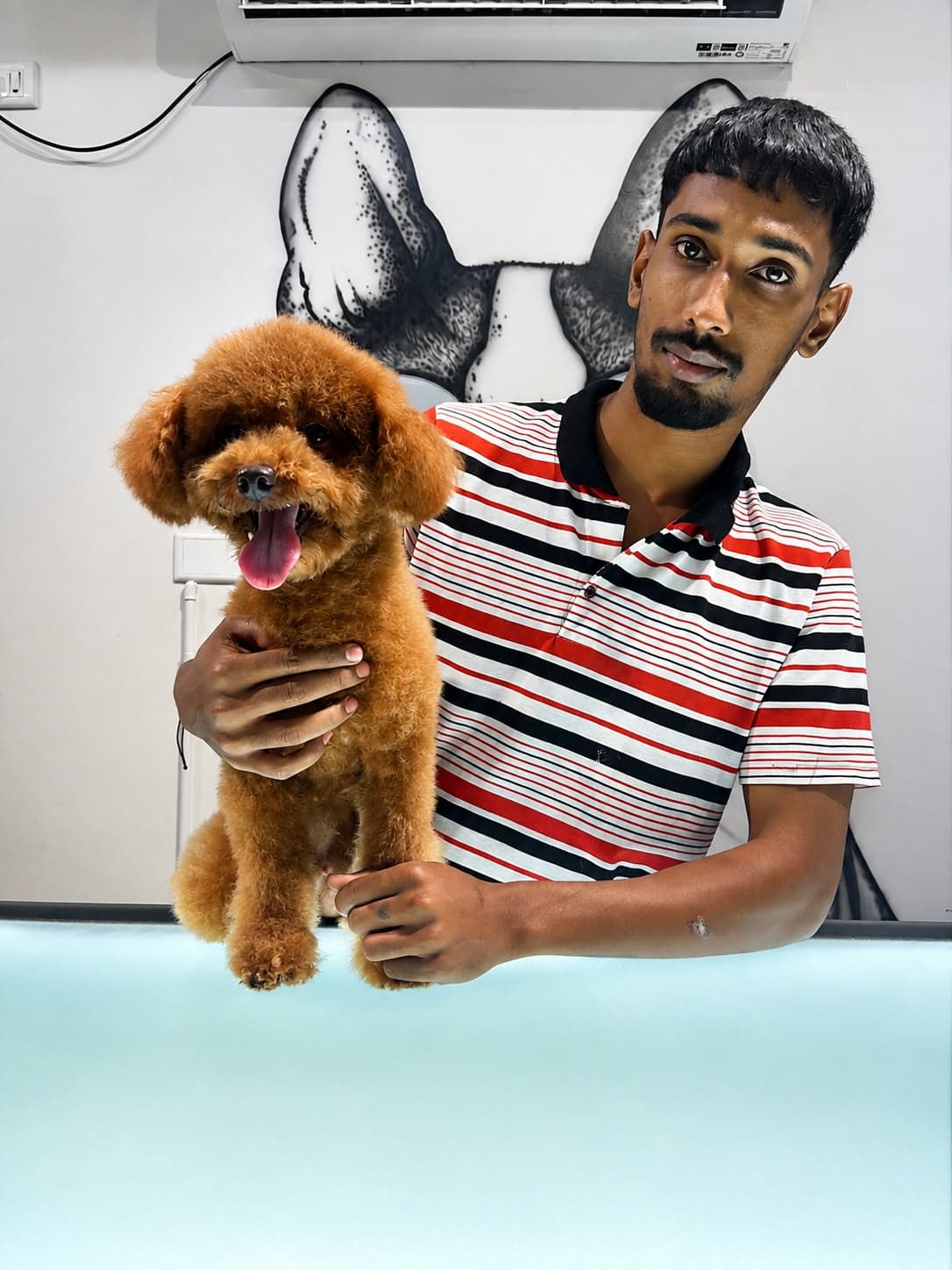 AS Pet Grooming - Verified pet service provider in Bengaluru
