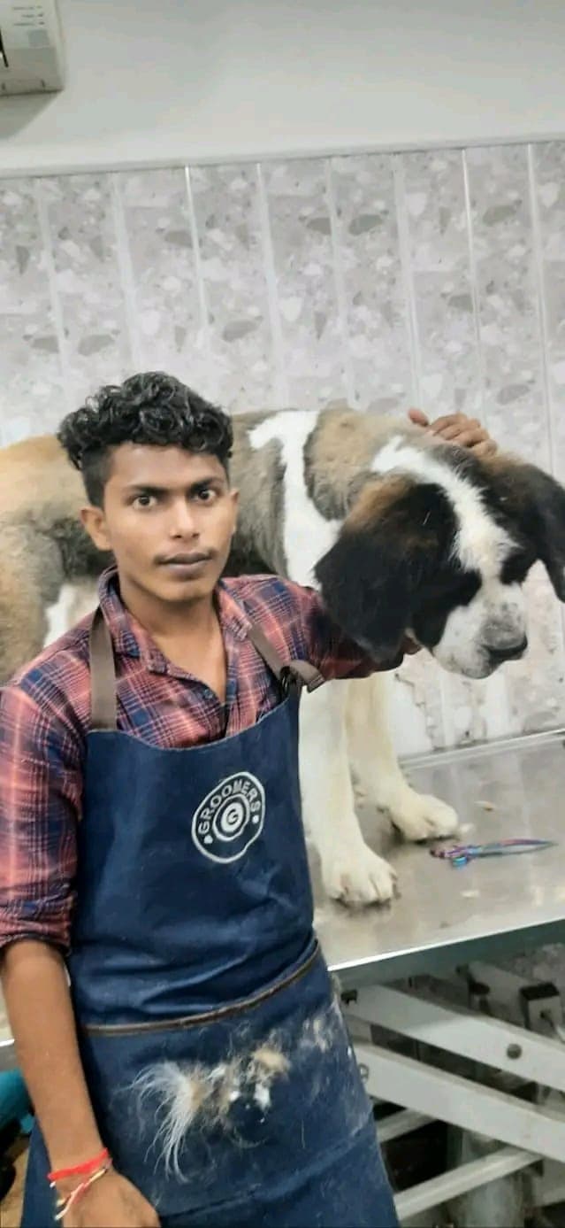 pet_groomer photo 3 at THE PET RETREAT, Delhi