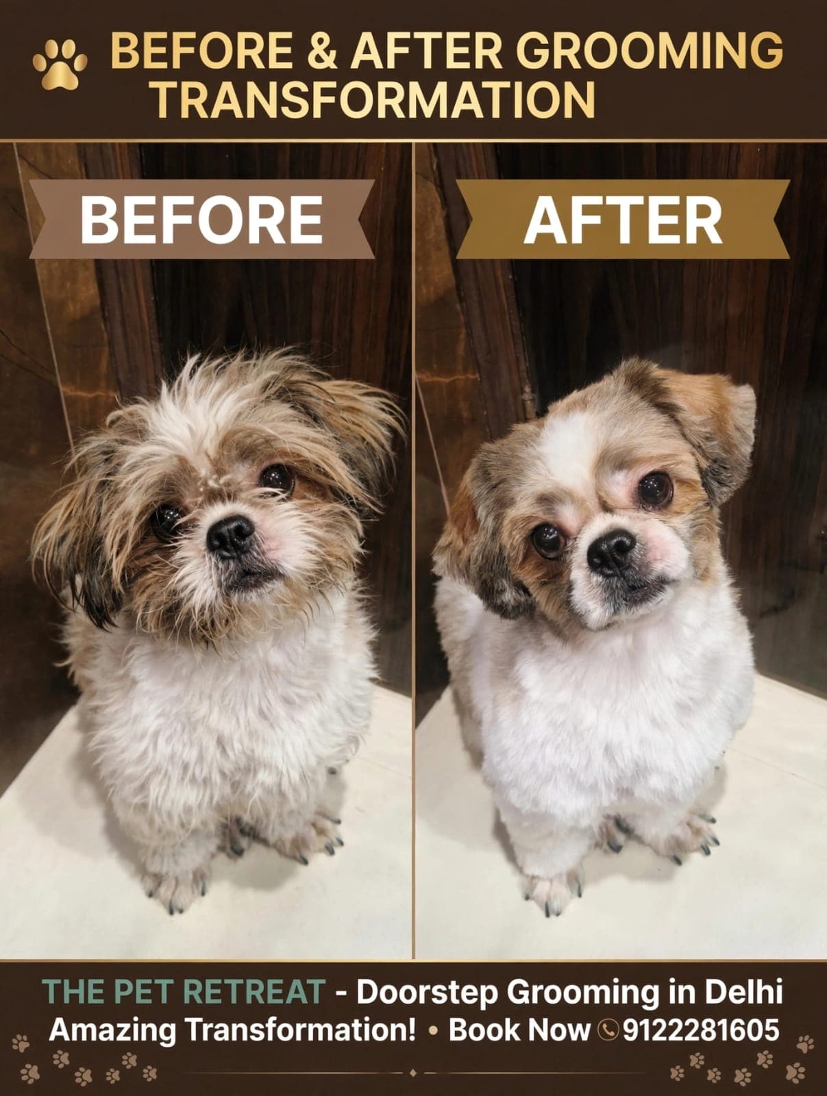 pet_groomer photo 2 at THE PET RETREAT, Delhi
