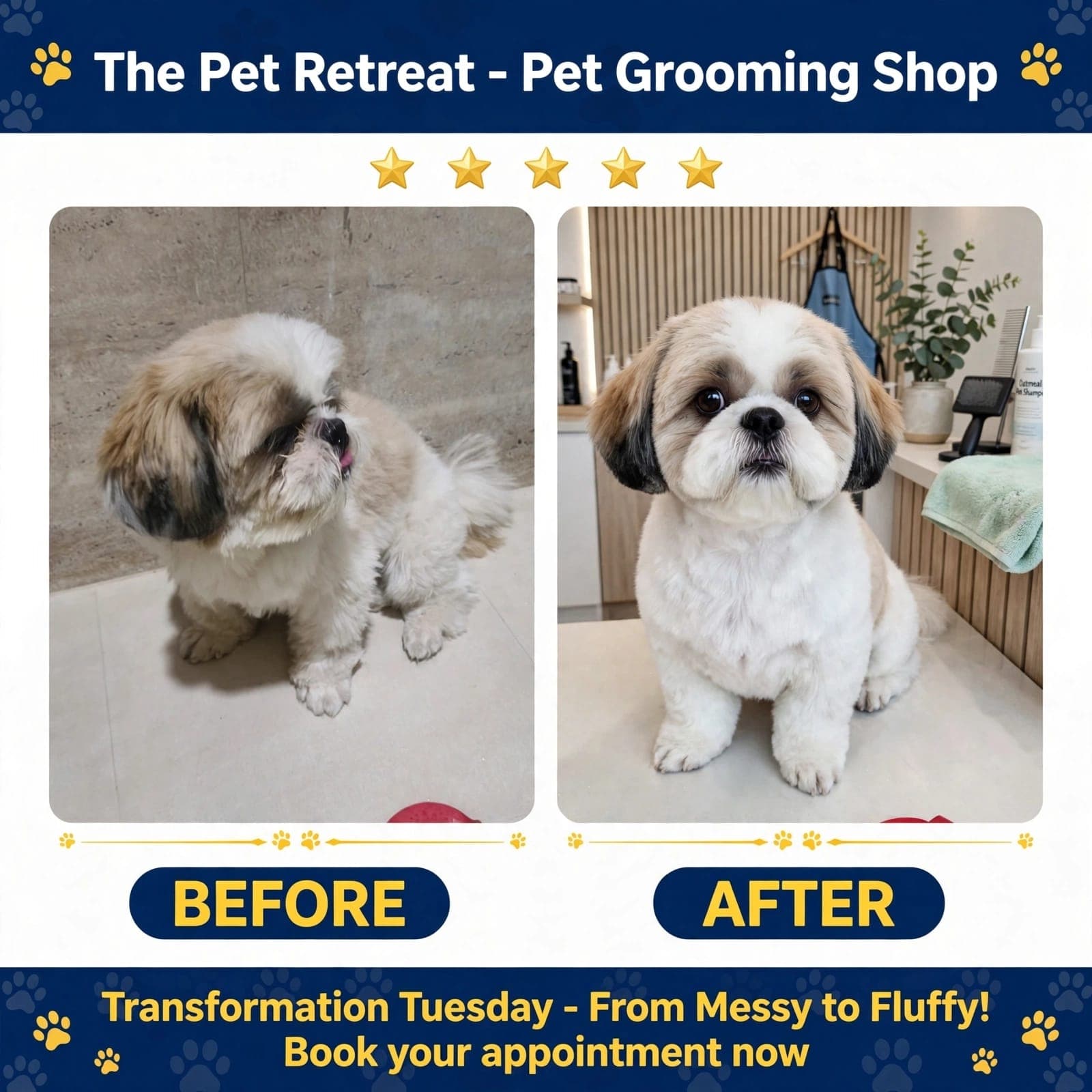 pet_groomer photo 5 at THE PET RETREAT, Delhi