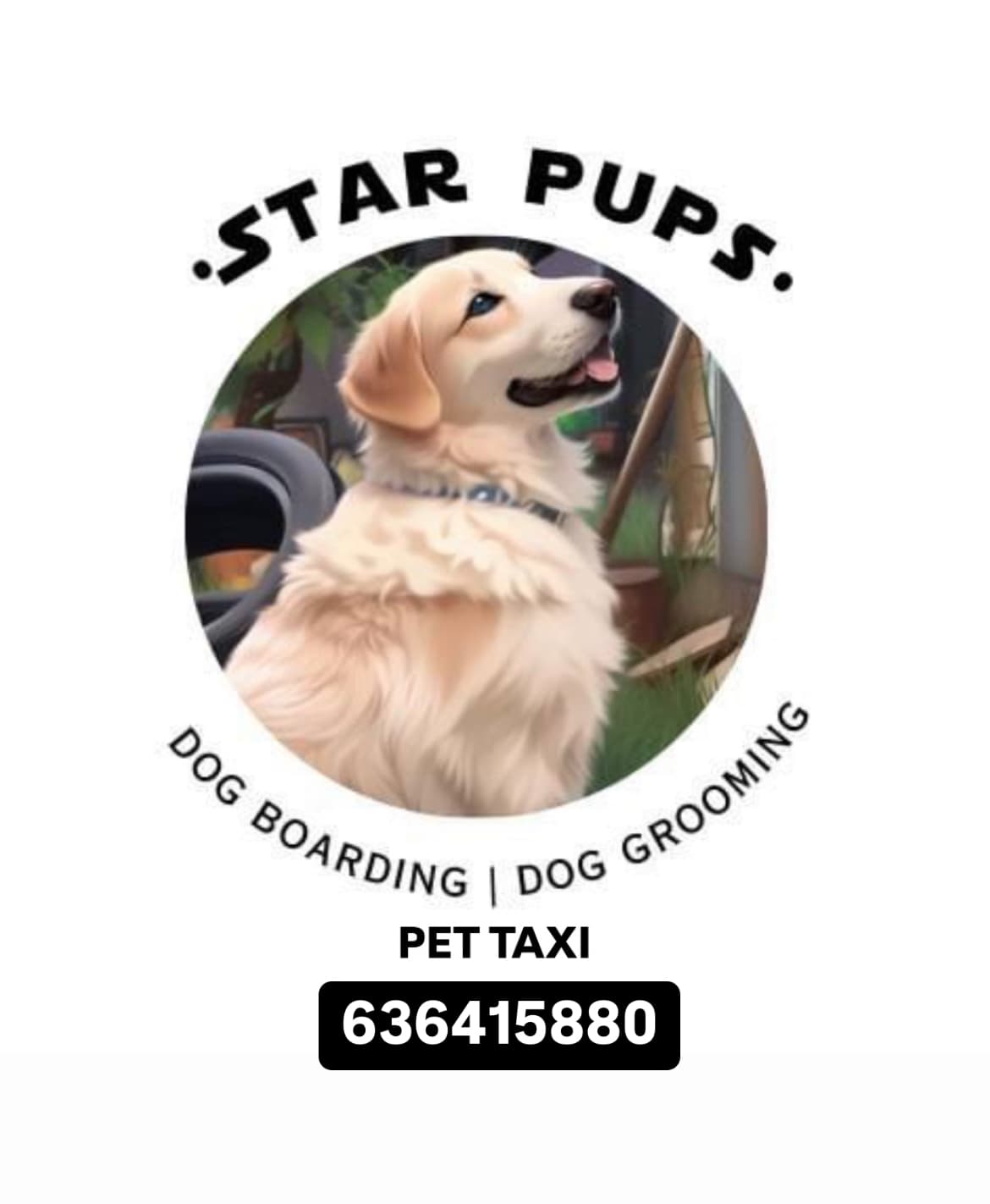 pet_boarder at Star Pups Pet Boarding, Bengaluru