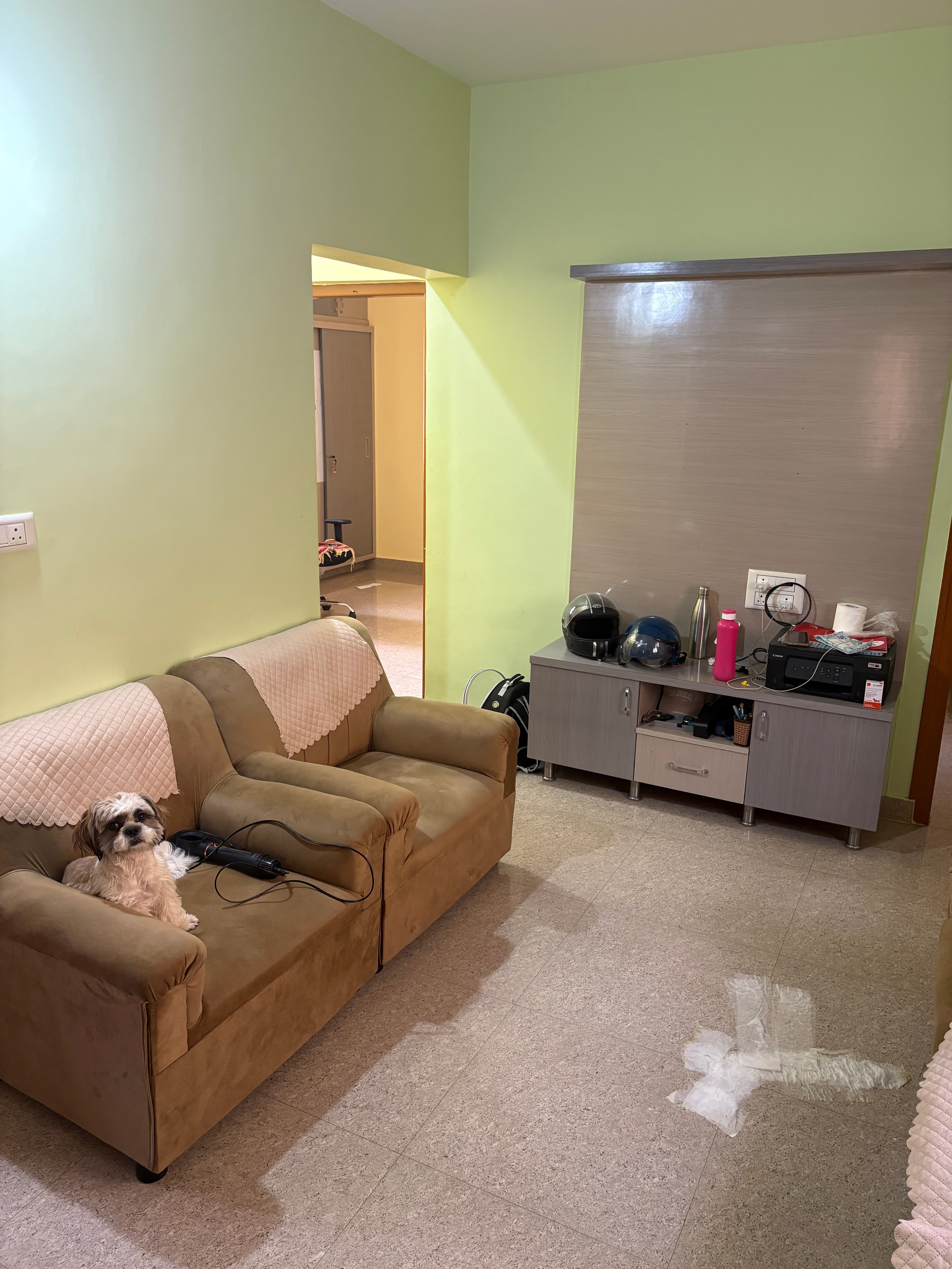pet_boarder photo 2 at Rio’s Care Home 🐶, Bengaluru