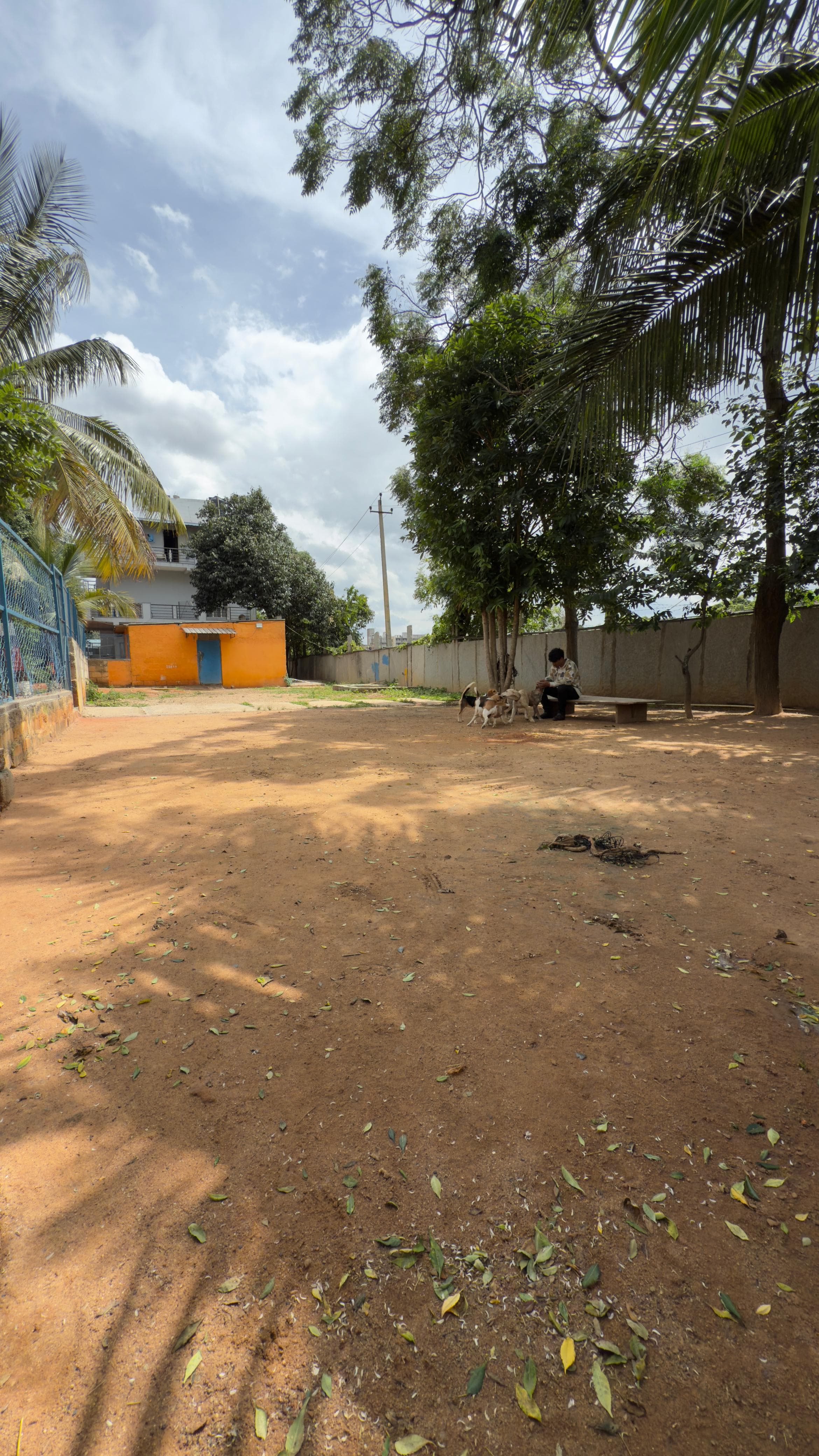 dog_walker at Wags and Wonders Pet Boarding, Bengaluru