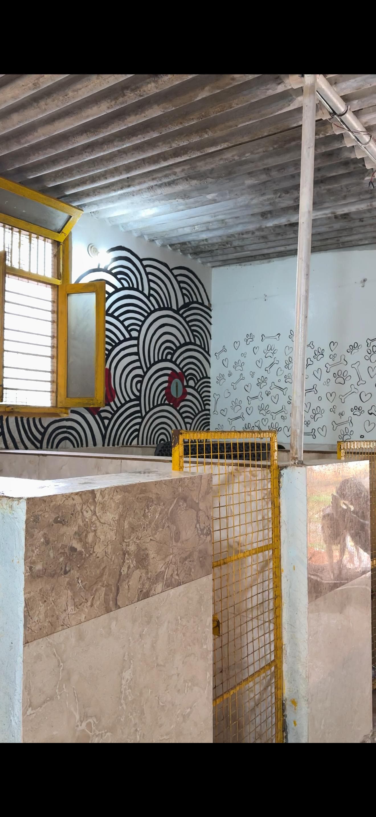 pet_boarder at Wags and Wonders Pet Boarding, Bengaluru