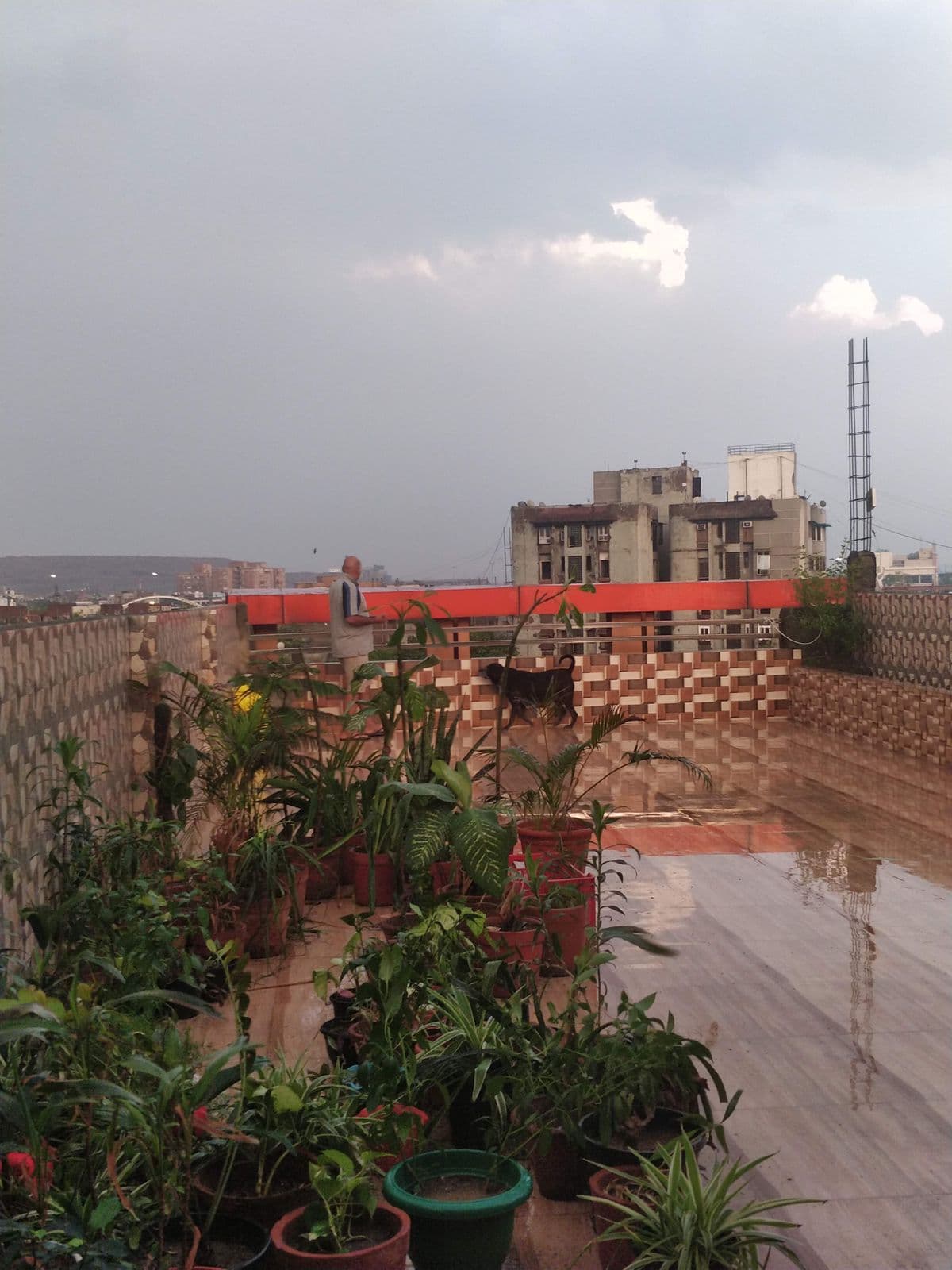 pet_boarder at Pet Boarding Services, Delhi