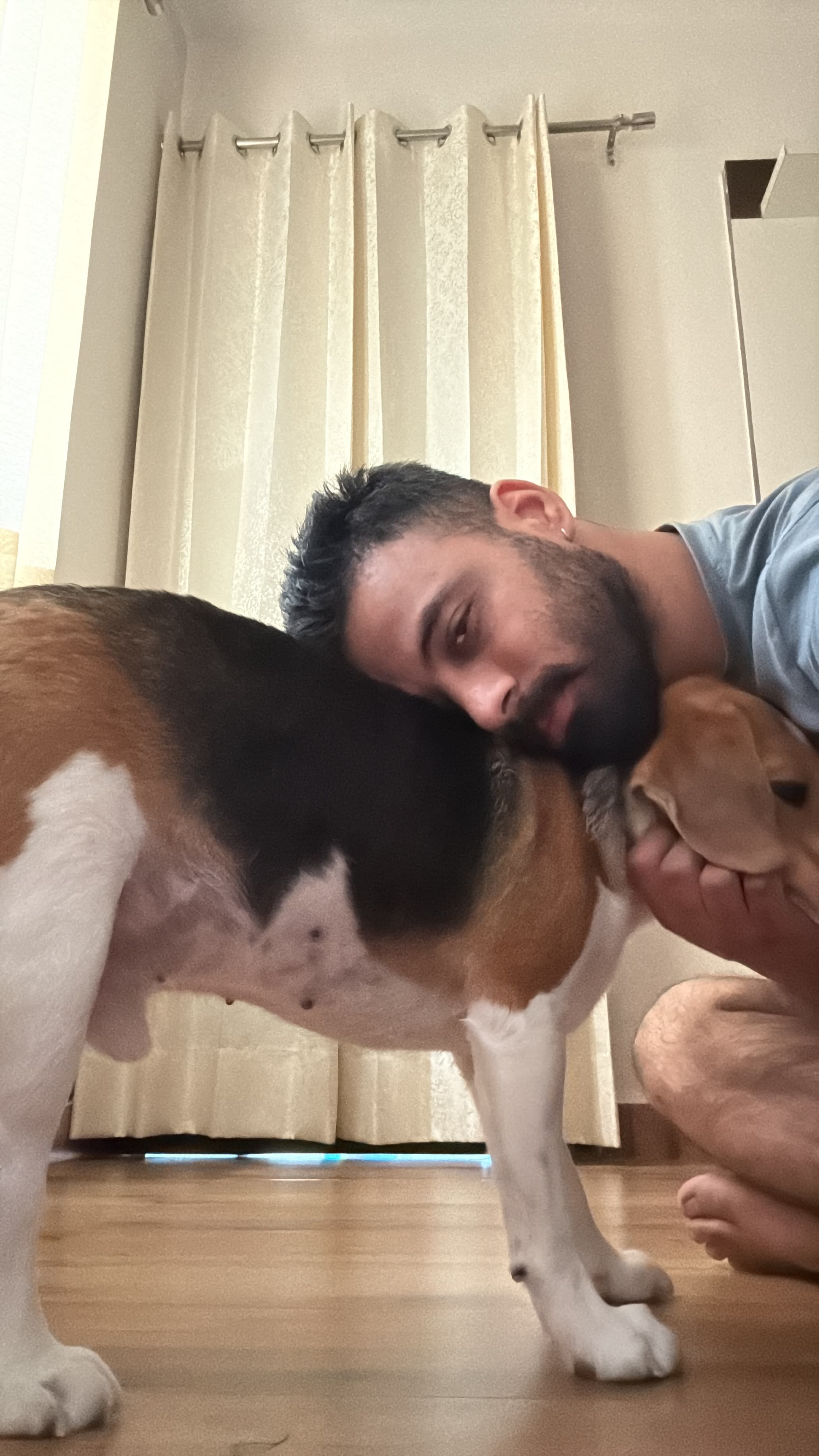 dog_walker photo 3 at Paws With Mrinal, Delhi