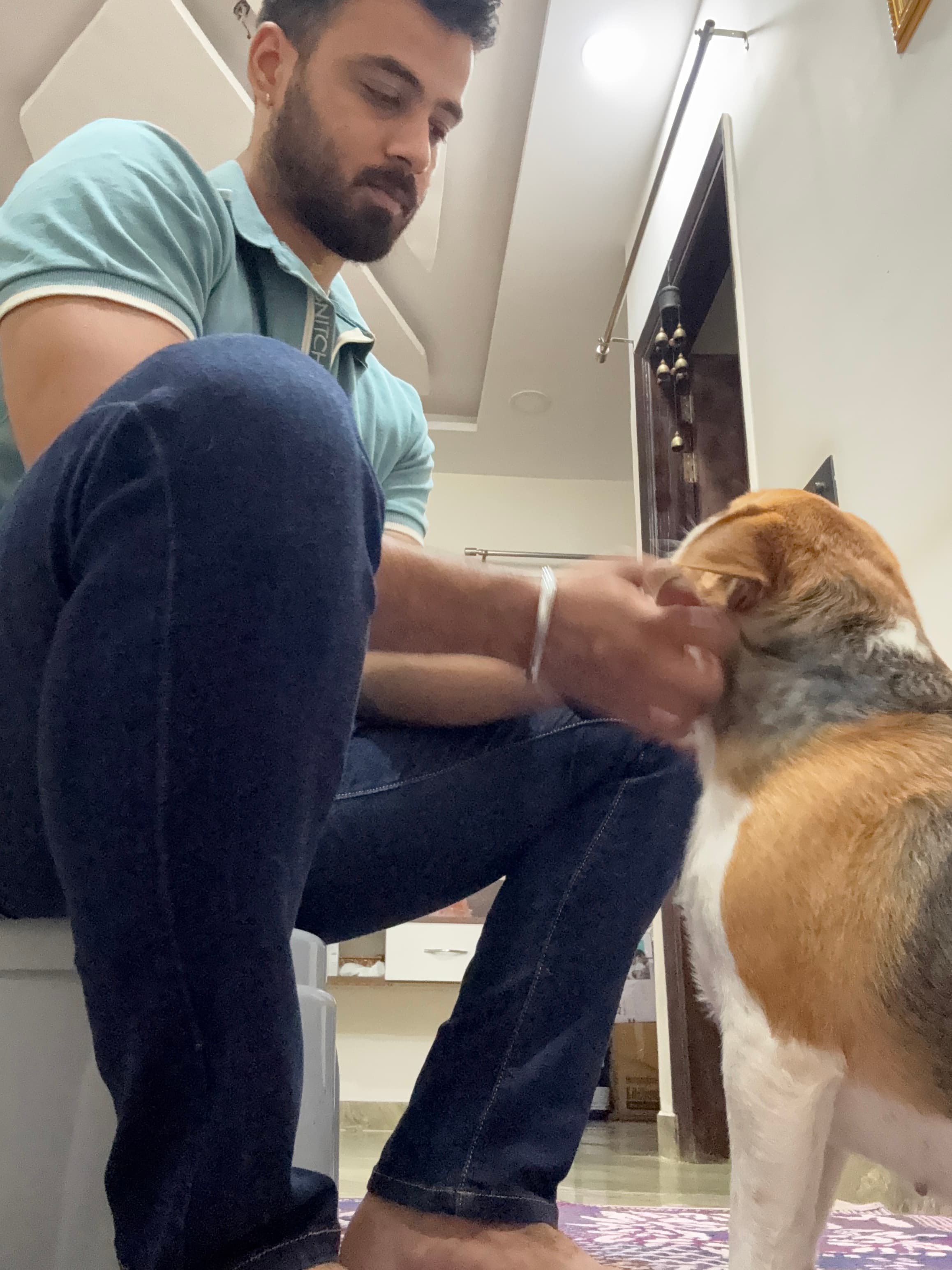 dog_walker photo 5 at Paws With Mrinal, Delhi