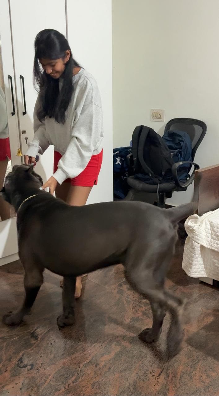 Rajatha S - Verified pet service provider in Bengaluru