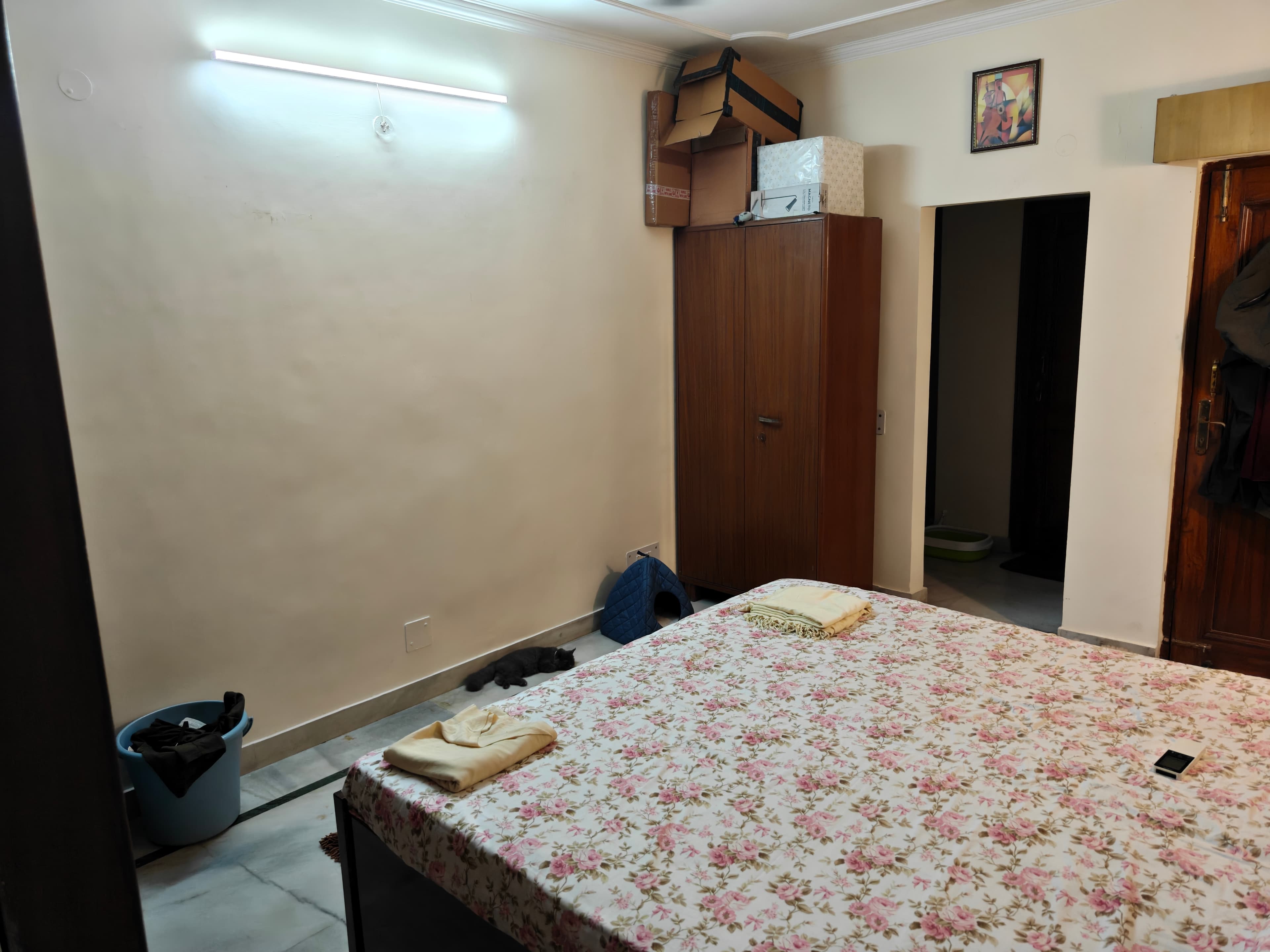 pet_boarder photo 3 at Palak Parihar Pet Boarding And Daycare Services, Gurgaon
