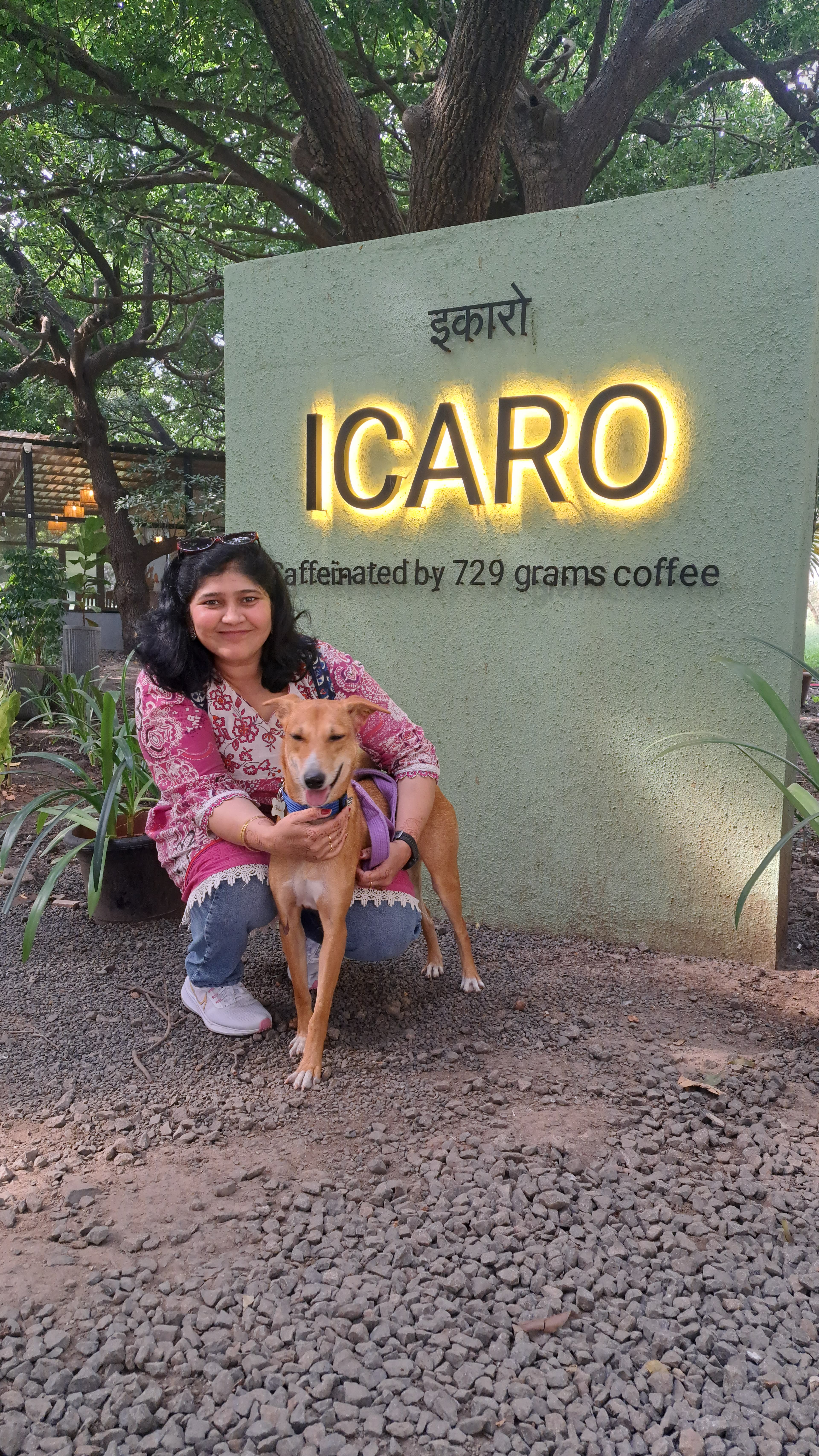 dog_walker photo 6 at Blaze Dog Training, Pune
